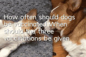 How often should dogs be vaccinated? When should the three vaccinations be given?
