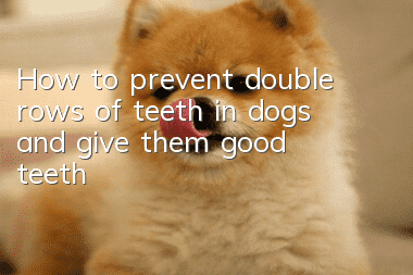 How to prevent double rows of teeth in dogs and give them good teeth