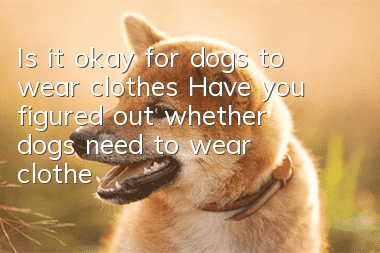 Is it okay for dogs to wear clothes? Have you figured out whether dogs need to wear clothes?