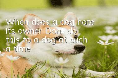 When does a dog hate its owner? Don’t do this to a dog at such a time!