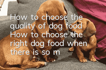 How to choose the quality of dog food? How to choose the right dog food when there is so much dog food?