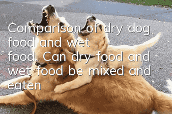 Comparison of dry dog food and wet food. Can dry food and wet food be mixed and eaten together?
