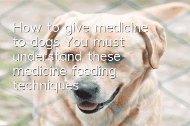 How to give medicine to dogs? You must understand these medicine feeding techniques