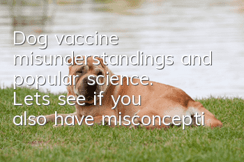 Dog vaccine misunderstandings and popular science. Let’s see if you also have misconceptions.