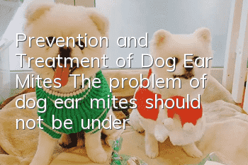 Prevention and Treatment of Dog Ear Mites The problem of dog ear mites should not be underestimated!