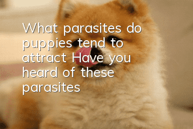 What parasites do puppies tend to attract? Have you heard of these parasites?