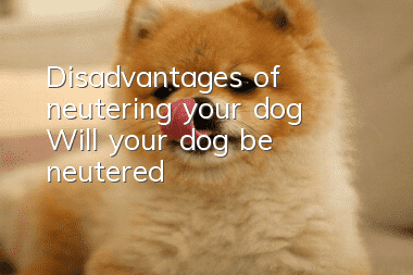 Disadvantages of neutering your dog? Will your dog be neutered?