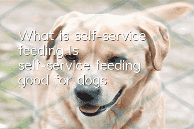 What is self-service feeding? Is self-service feeding good for dogs?