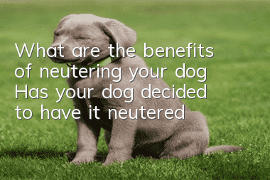 What are the benefits of neutering your dog? Has your dog decided to have it neutered?
