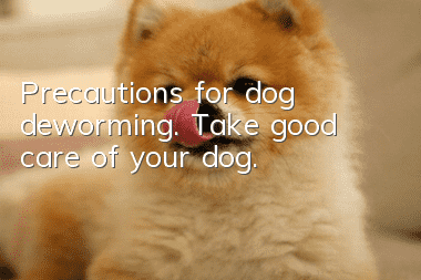 Precautions for dog deworming. Take good care of your dog.