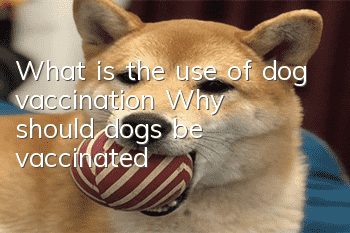 What is the use of dog vaccination? Why should dogs be vaccinated?