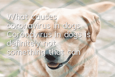 What causes coronavirus in dogs? Coronavirus in dogs is definitely not something that can be ignored