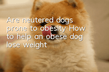 Are neutered dogs prone to obesity? How to help an obese dog lose weight?