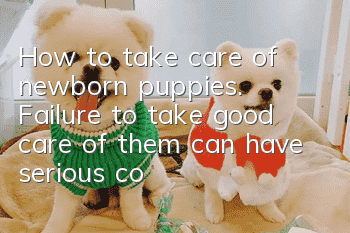 How to take care of newborn puppies. Failure to take good care of them can have serious consequences.