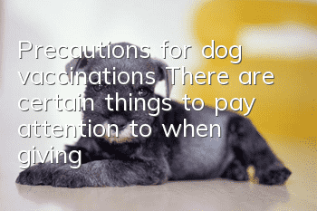 Precautions for dog vaccinations There are certain things to pay attention to when giving dog vaccinations