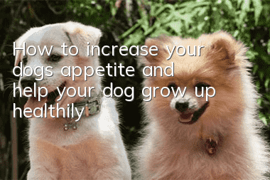 How to increase your dog’s appetite and help your dog grow up healthily