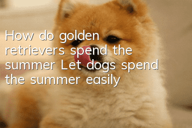 How do golden retrievers spend the summer? Let dogs spend the summer easily