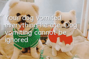 Your dog vomited everything he ate. Dog vomiting cannot be ignored!