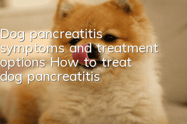 Dog pancreatitis symptoms and treatment options How to treat dog pancreatitis