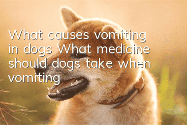 What causes vomiting in dogs? What medicine should dogs take when vomiting?