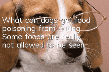 What can dogs get food poisoning from eating? Some foods are really not allowed to be seen by dogs.