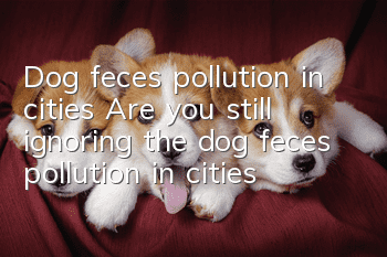 Dog feces pollution in cities Are you still ignoring the dog feces pollution in cities?