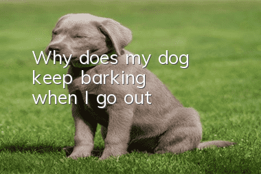 Why does my dog ​​keep barking when I go out?
