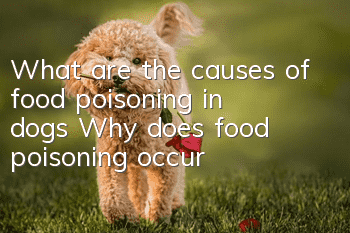 What are the causes of food poisoning in dogs? Why does food poisoning occur?