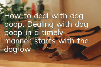 How to deal with dog poop. Dealing with dog poop in a timely manner starts with the dog owner!