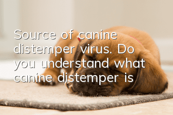 Source of canine distemper virus. Do you understand what canine distemper is?