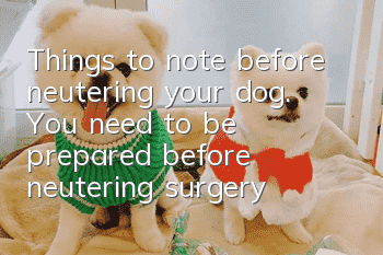 Things to note before neutering your dog. You need to be prepared before neutering surgery.
