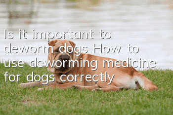 Is it important to deworm dogs? How to use deworming medicine for dogs correctly?