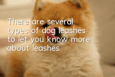 There are several types of dog leashes to let you know more about leashes