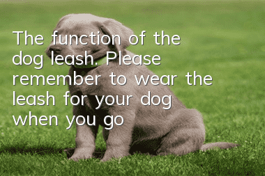 The function of the dog leash. Please remember to wear the leash for your dog when you go out.