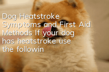 Dog Heatstroke Symptoms and First Aid Methods If your dog has heatstroke, use the following methods to cool down!