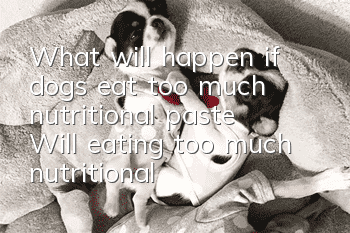 What will happen if dogs eat too much nutritional paste? Will eating too much nutritional paste be harmful?