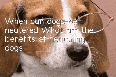 When can dogs be neutered? What are the benefits of neutering dogs?