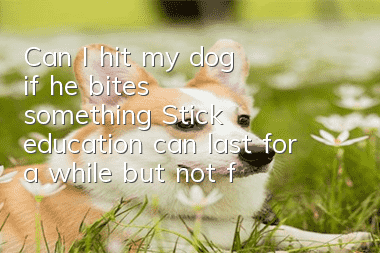 Can I hit my dog ​​if he bites something? Stick education can last for a while but not forever.