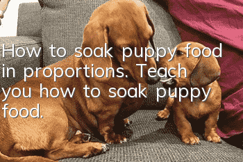 How to soak puppy food in proportions. Teach you how to soak puppy food.
