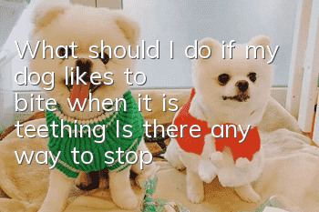 What should I do if my dog likes to bite when it is teething? Is there any way to stop it from biting?