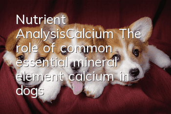 Nutrient Analysis—Calcium The role of common essential mineral element calcium in dogs’ bodies