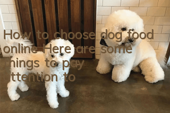 How to choose dog food online? Here are some things to pay attention to
