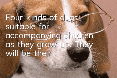 Four kinds of dogs suitable for accompanying children as they grow up. They will be their best playmates.