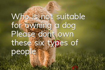 Who is not suitable for owning a dog? Please don’t own these six types of people
