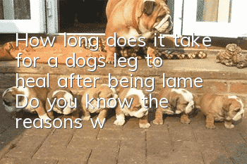 How long does it take for a dog’s leg to heal after being lame? Do you know the reasons why a dog’s leg is lame?