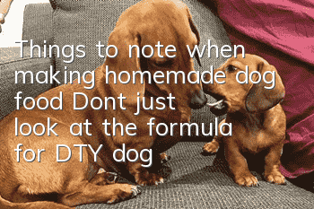 Things to note when making homemade dog food: Don’t just look at the formula for DTY dog food