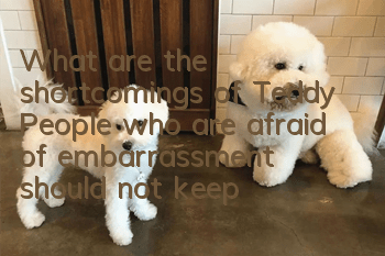 What are the shortcomings of Teddy? People who are afraid of embarrassment should not keep it.