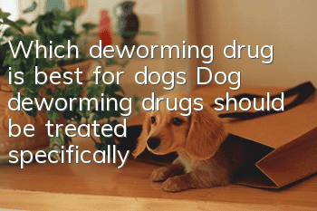 Which deworming drug is best for dogs? Dog deworming drugs should be treated specifically