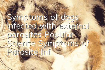 Symptoms of dogs infected with external parasites Popular Science Symptoms of Parasite Infection