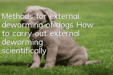 Methods for external deworming of dogs How to carry out external deworming scientifically
